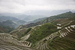 Images Dated 4th June 2006: Terraced ricefields of Longshen, Guilin, Guangxi Province, China, Asia