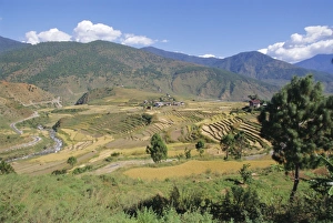 Thimpu Prints: Terraces on hillsides, Thimpu, Bhutan