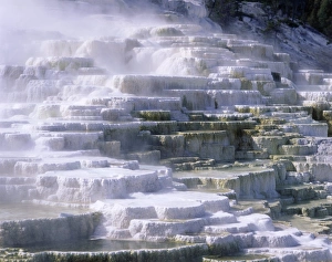 Thermal Prints: Terraces, Mammoth Hot Springs