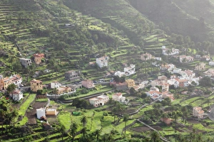 La Gomera Prints: Terraces, Valle Gran Rey, La Gomera, Canary Islands, Spain, Europe