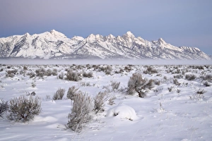 Grand Teton Prints: Teton range at dawn in winter