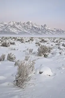 Teton Range at Dawn in winter, Grand Teton National Park, Wyoming, United States of America
