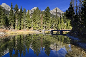 Footbridge Prints: Teton Range, footbridge and pines with reflections
