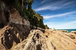 Pristine Prints: Textured Coastal Rocks and Forest Edge at Low Tide