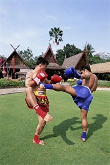 Shorts Prints: Thai boxers