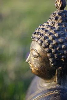 Thai Buddha, Haute Savoie, France, Europe