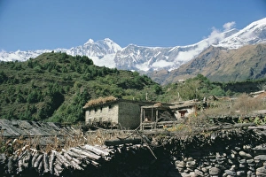 Himalaya Prints: Thakkali house with Dhaulagiri behind