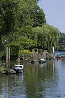 Thames Prints: Thames River view near York House, Richmond, Surrey, England, United Kingdom, Europe