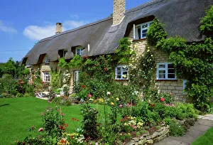 Cottage Prints: Thatched cottage, Gloucestershire, The Cotswolds, England, United Kingdom, Europe