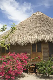 Placencia Prints: Thatched cottage at The Turtle Inn, Francis Ford-Cappolas beach front hotel