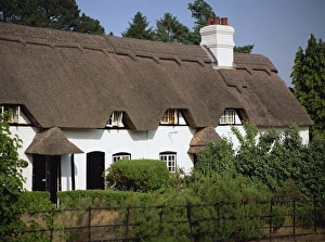 Thatch Prints: Thatched cottages at Lyndhurst in the New Forest, Hampshire, England, United Kingdom