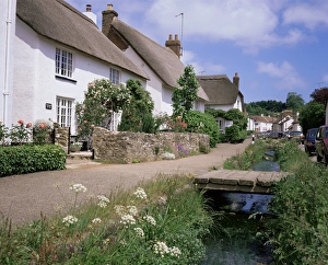 Cottage Prints: Thatched cottages, Otterton, south Devon, England, United Kingdom, Europe