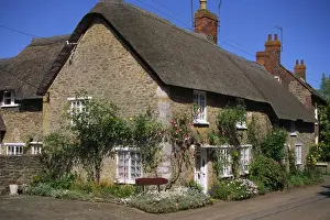 Cottage Prints: Thatched cottages with roses on the walls at Burton Bradstock in Dorset