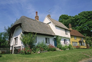 Thatch Prints: Thatched and tile roofed cottages at Wendens Ambo in Essex, England, United Kingdom