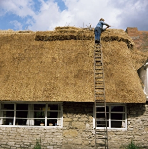 Equipment Prints: Thatching at The George, Stanton St. John, Oxfordshire, England, United Kingdom, Europe