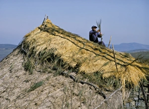 Repair Prints: Thatching a roof, Cebreiro, Way of St