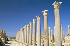 Images Dated 26th April 2005: Theatre, Leptis Magna, UNESCO World Heritage Site, Tripolitania, Libya