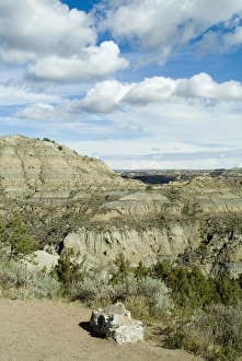 North Dakota Prints: Theodore Roosevelt National Park