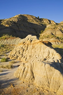 Images Dated 27th June 2007: Theodore Roosevelt National Park North Unit, Watford, North Dakota, United States of America