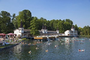 Swimming Prints: Thermal lake at Heviz, Keszthely, Lake Balaton, Hungary, Europe