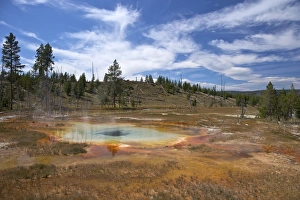 Standing Water Prints: Thermal springs, Upper Geyser Basin