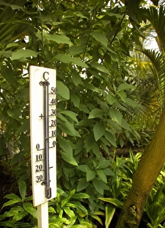 Kew Gardens Prints: Thermometer showing 30 degrees celsius, interior of Palm House, Kew Gardens