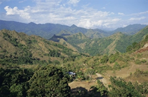 Toraja Prints: TheToraja border area