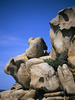 Moon Valley Prints: The Thinker