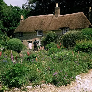 Cottage Prints: Thomas Hardys cottage, Bockhampton, near Dorchester, Dorset, England