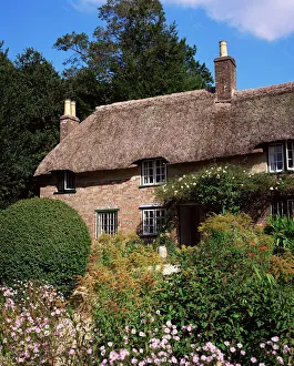 Cottage Prints: Thomas Hardys cottage, Bockhampton, near Dorchester, Dorset, England