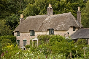 Homes Prints: Thomas Hardys cottage, Higher Bockhampton