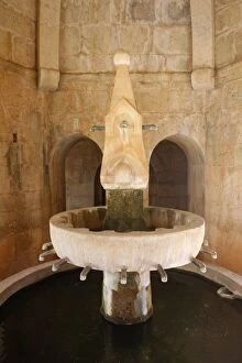 Thoronet Abbey cloister wash basin, Thoronet, Var, Provence, France, Europe