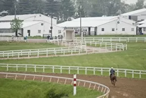 Images Dated 1st January 2000: The Thoroughbred Center