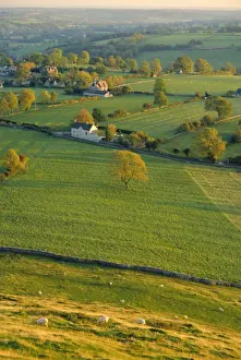 Graze Prints: Thorpe Cloud, Dovedale, Peak District National Park, Derbyshire, England, UK
