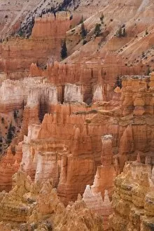 Images Dated 21st November 2007: Thors Hammer, Bryce Canyon National Park, Utah, United States of America, North America