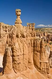 Images Dated 12th October 2010: Thors Hammer, an iconic hoodoo on the Navajo trail, a hiking trail through Bryce Amphitheater