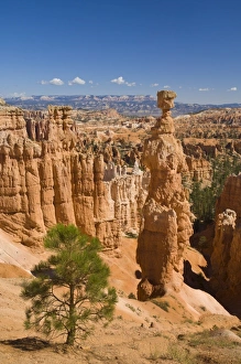 Hoodoos Prints: Thors Hammer, an iconic hoodoo on the Navajo trail