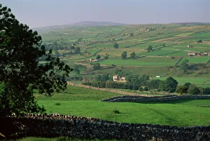 Threapland towards Linton Moor, Yorkshire, England, United Kingdom, Europe