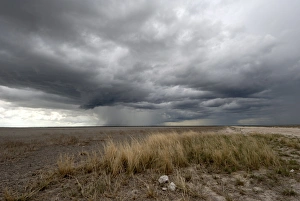 Plain Prints: Threatening storm, Etosha National Park, Namibia, Africa