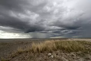 Threatening storm, Etosha National Park, Namibia, Africa