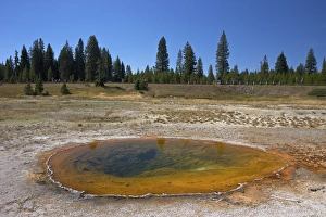 Standing Water Prints: Thumb geyser, West Thumb Geyser Basin