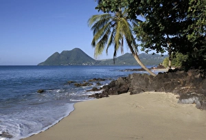 Martinique Prints: Ti Coco beach