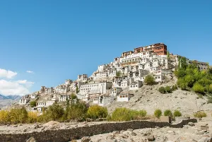 Meditation Prints: Tibetan Buddhist Thikse Monastery