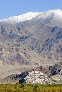 Meditation Prints: Tibetan Buddhist Thikse Monastery