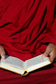 Books Prints: Tibetan monk reading, Paris, France, Europe