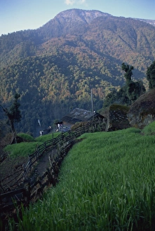 Sikkim Prints: Tibetan village of Bakhim, Himalas, Sikkim, India, Asia