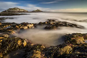 Algae Prints: Tidal rock pools and Mumbles Lighthouse, Bracelet Bay, Mumbles Head, Gower Peninsula