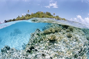 Fisheye Lens Prints: Tikeau, Tuamotu Archipelago