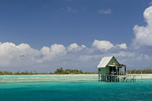 Tikehau, Tuamotu Archipelago