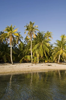 Tikehau, Tuamotu Archipelago